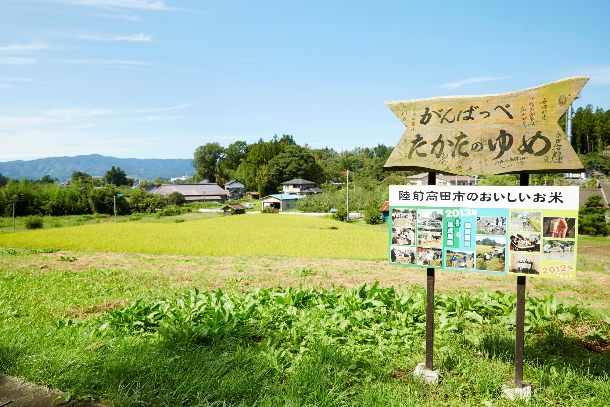 たかたのゆめが育つ緑色の田園風景の写真