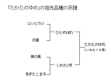 たかたのゆめの祖先品種の系譜