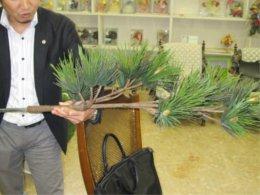 本物そっくりに作られた葉部分のレプリカを手に持つ男性の写真