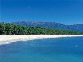 コバルトブルーの海が広がる美しい海岸の写真