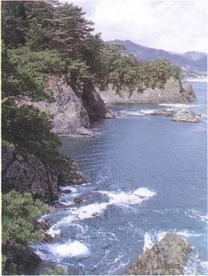 蛇ケ崎にある海蝕洞窟とその前に発生している渦潮を右横から撮影した写真