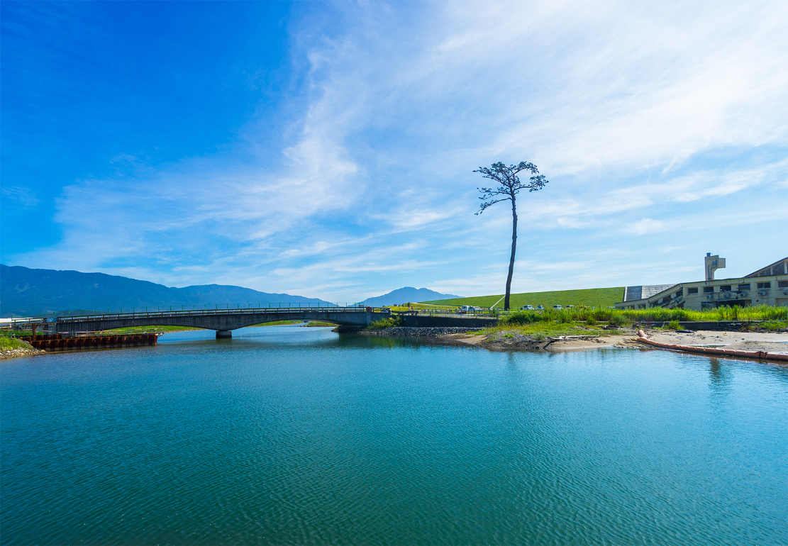 川を撮影した写真。青空の下、透き通った川の水が画像の手前から奥まで広がっており、川沿いには1本の大きな松の木が生えている。