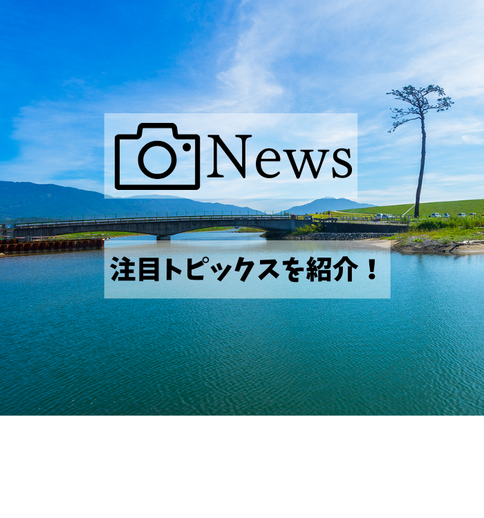 川を撮影した写真。青空の下、透き通った川の水が画像の手前から奥まで広がっており、川沿いには1本の大きな松の木が生えている。
