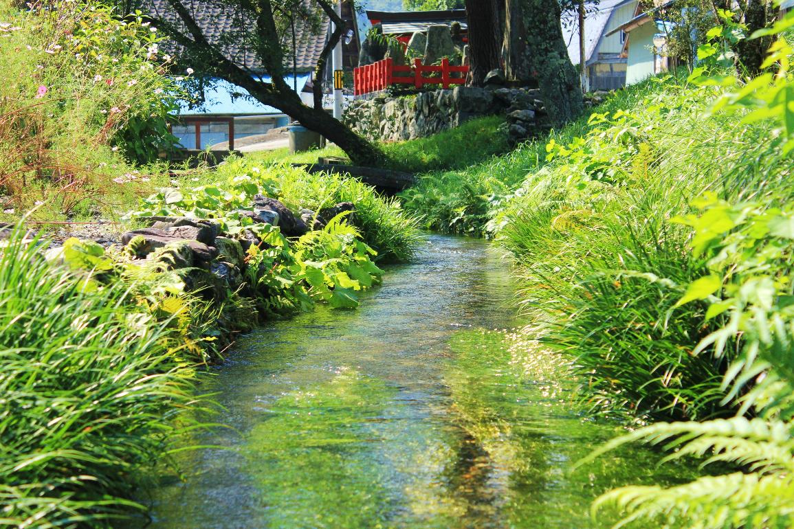 矢作町生出地区にる川のせせらぎ