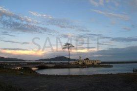 SAMPLEと書かれた夕陽が沈む美しい地平線と一本松の写真