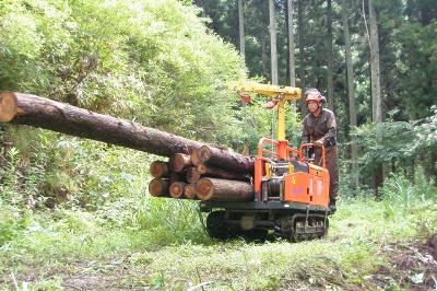 伐採した樹木を作業車に載せて運んでいる写真