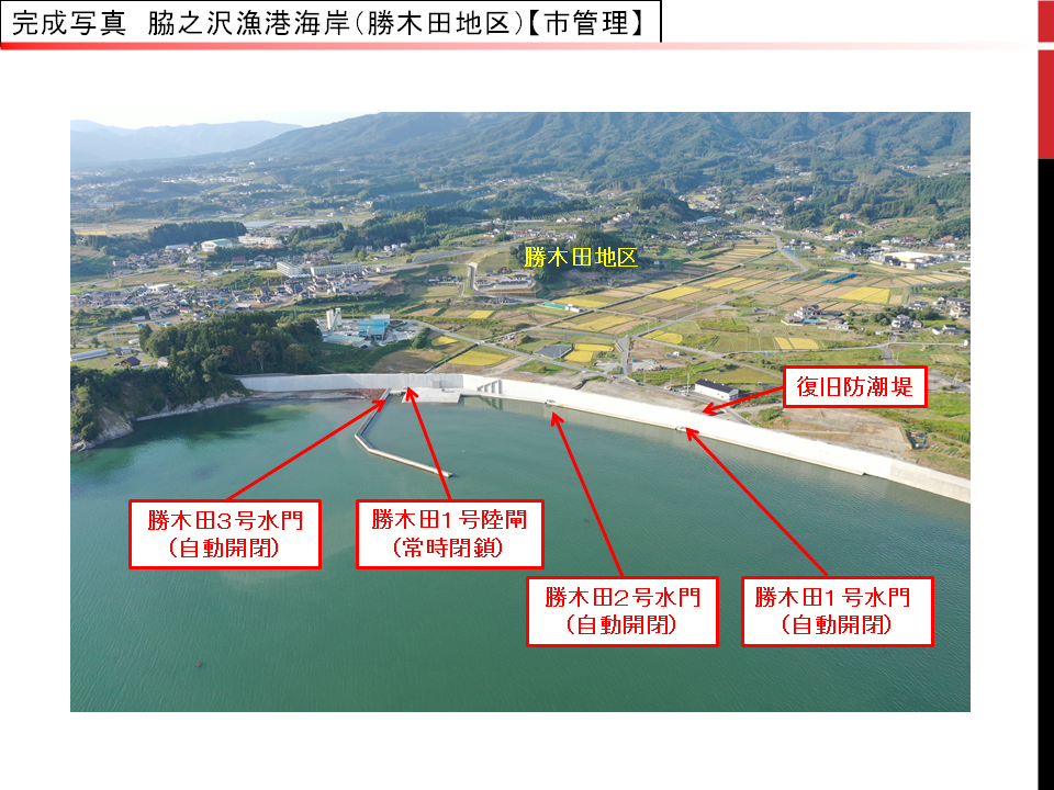 脇之沢漁港海岸（勝木田地区）の水門と陸閘と防潮堤の完成写真