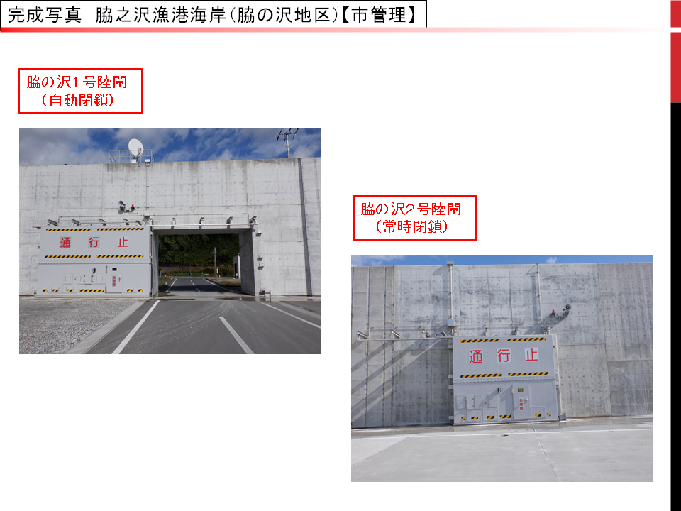 脇之沢漁港海岸（脇の沢地区）の水門と陸閘と防潮堤の完成写真