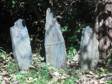 宮城県気仙町の要谷館跡内に安置されている3基の板碑に木漏れ日が射している写真