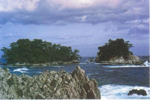 陸前高田市広田町にある広田半島南端の岩礁群とその後ろの岸青松島と沖青松島の写真