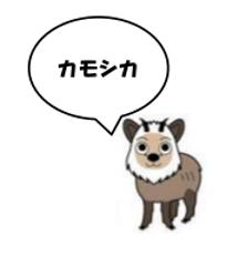 白色の背景に黒字でカモシカと書かれた吹き出しの右横で起立している可愛い二ホンカモシカのイラスト