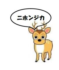 白色の背景に黒字でニホンジカと書かれた吹き出しの右横で起立している可愛い二ホンジカのイラスト