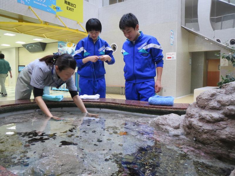 名古屋港水族館内のヒトデブースで水の中に両手を入れながら説明する女性飼育員の様子を左横でややたじろいだ表情で見る陸前高田市の女子中学生とその左横の男子中学生の写真